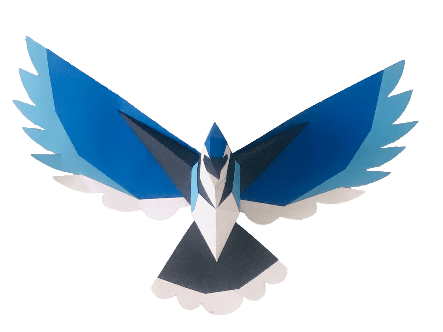 Blue Jay - papercraft kit low-poly style