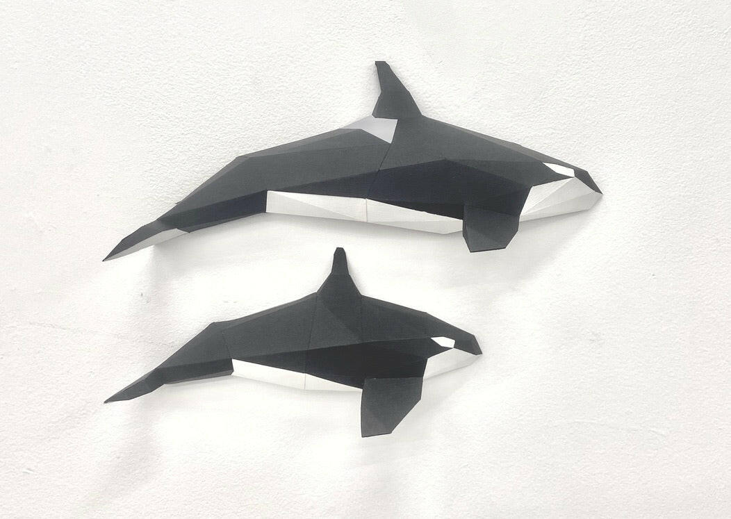 Orca Family - papercraft kit low-poly style