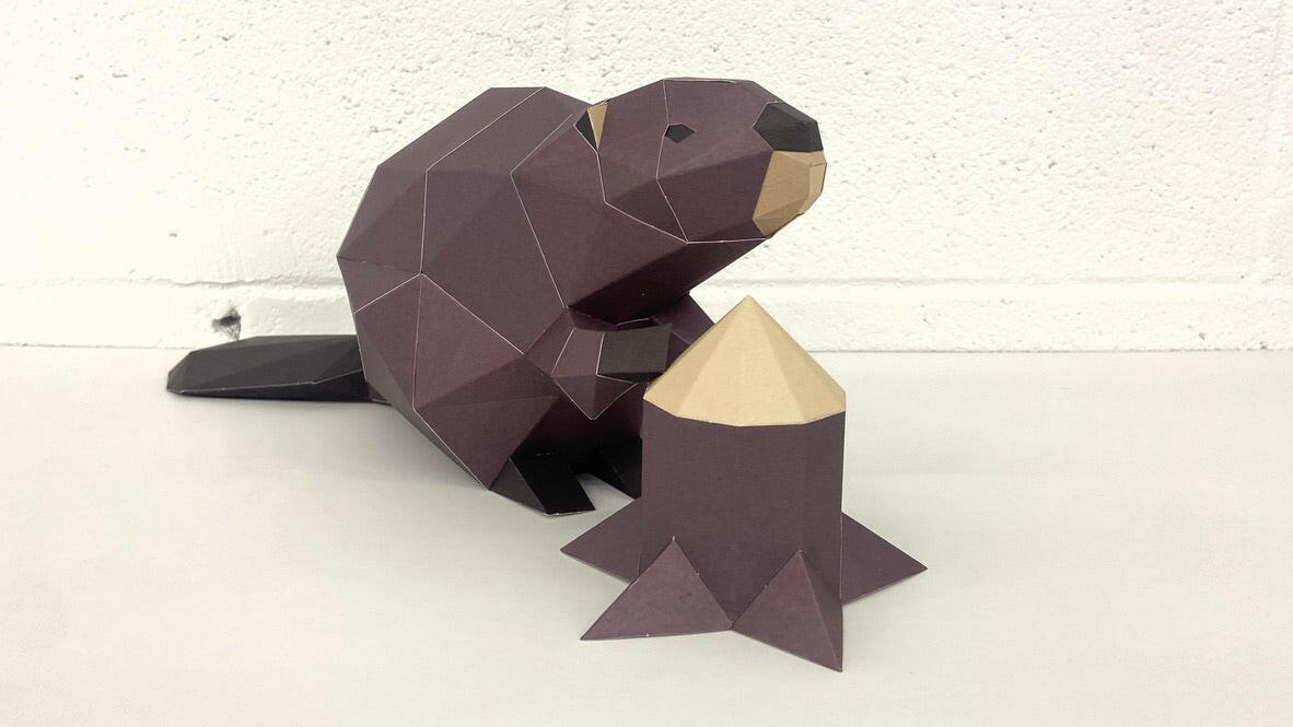 Beaver - papercraft kit low-poly style