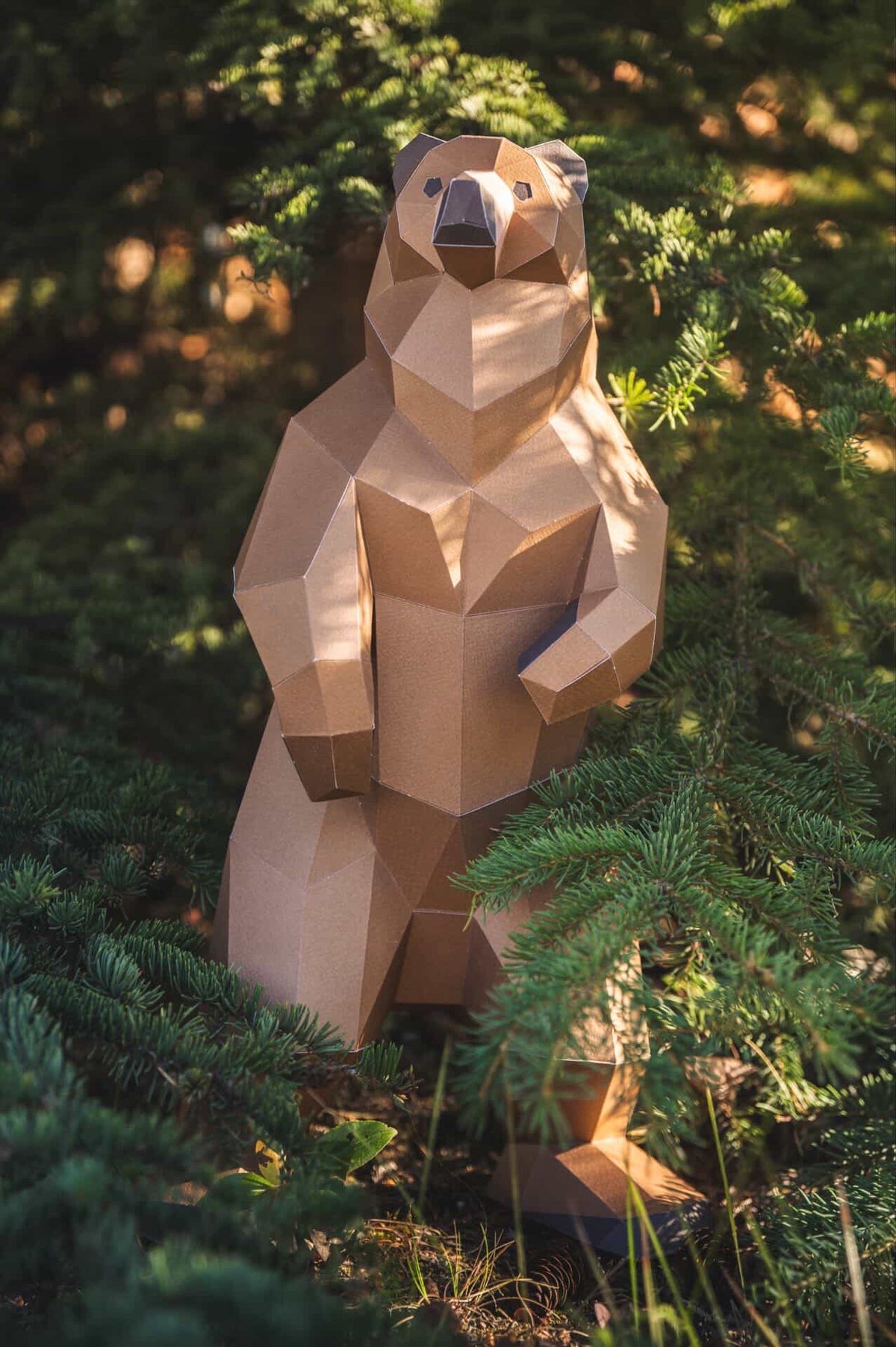 Grizzly Bear