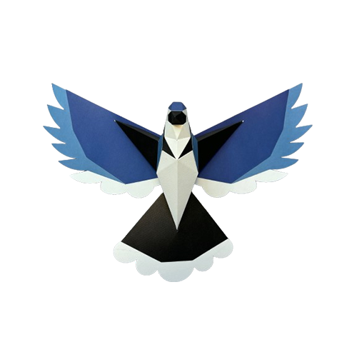Blue Jay POLY PAPER CRAFT