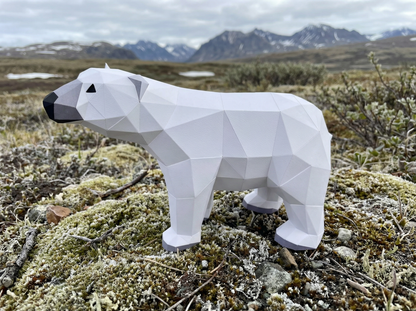 Polar Bear