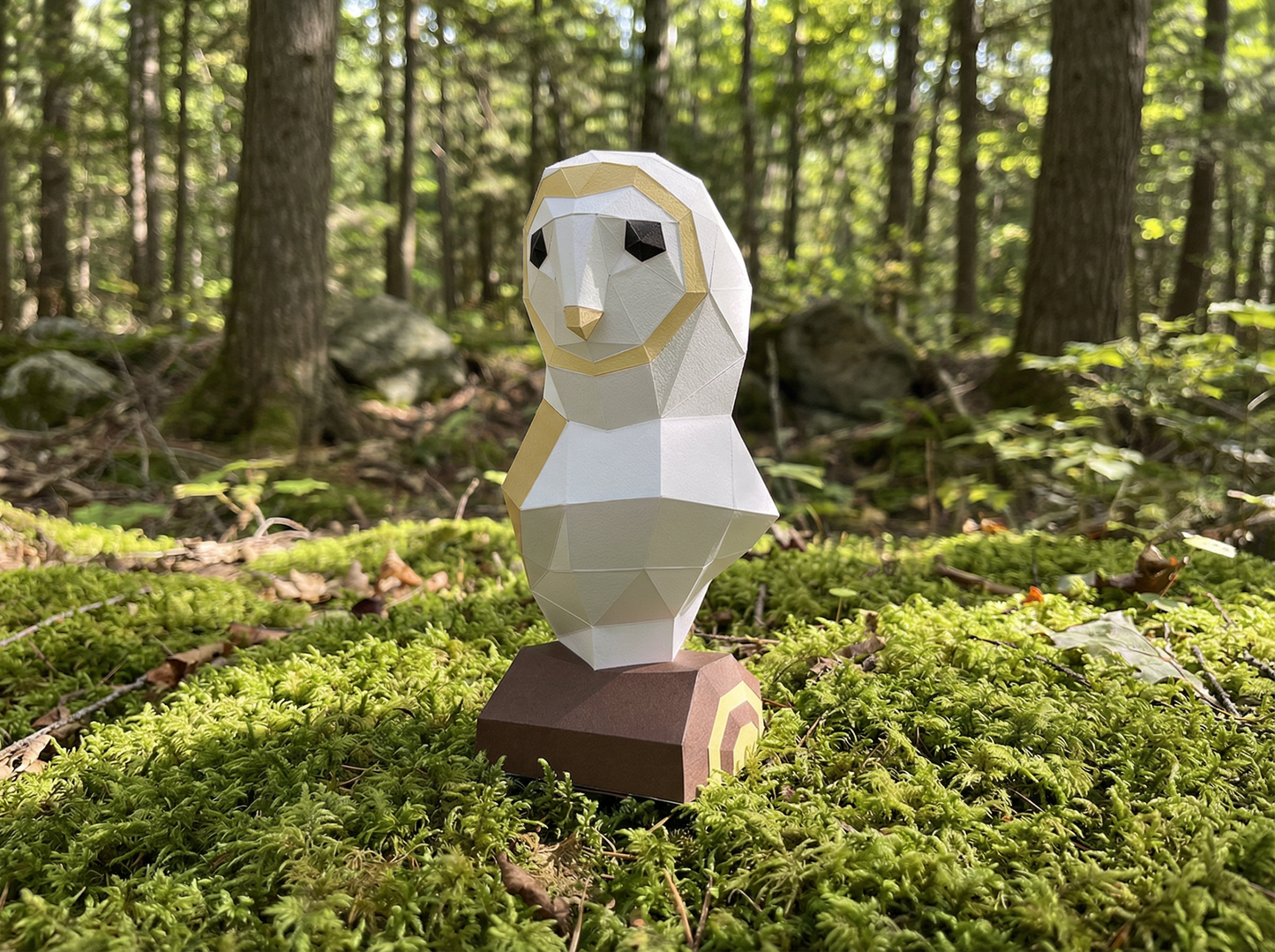 Chouette Effraie