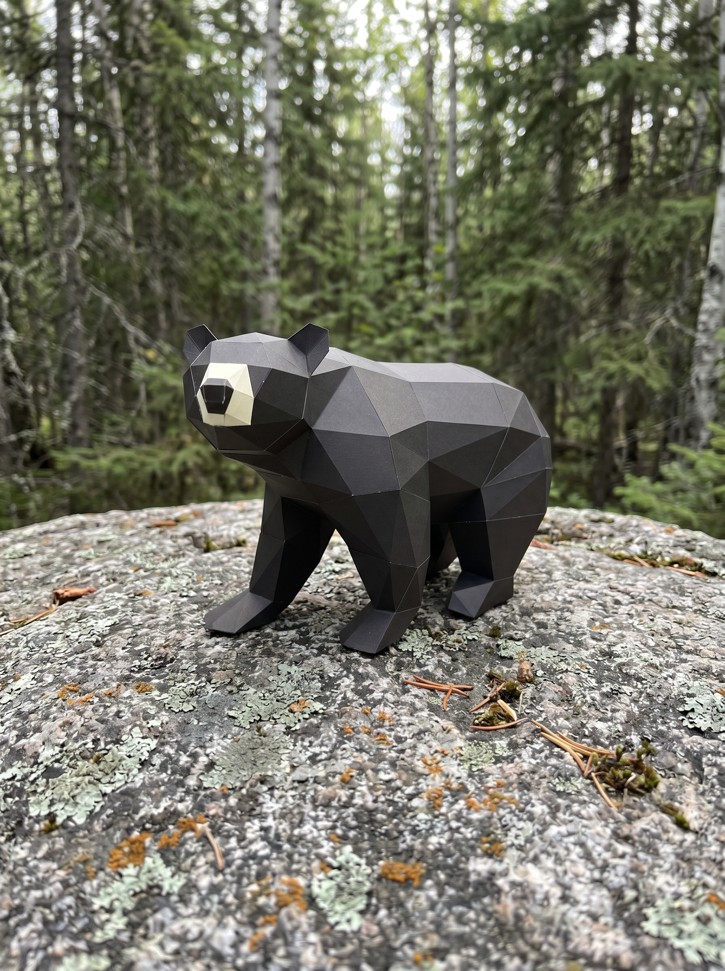Ours noir