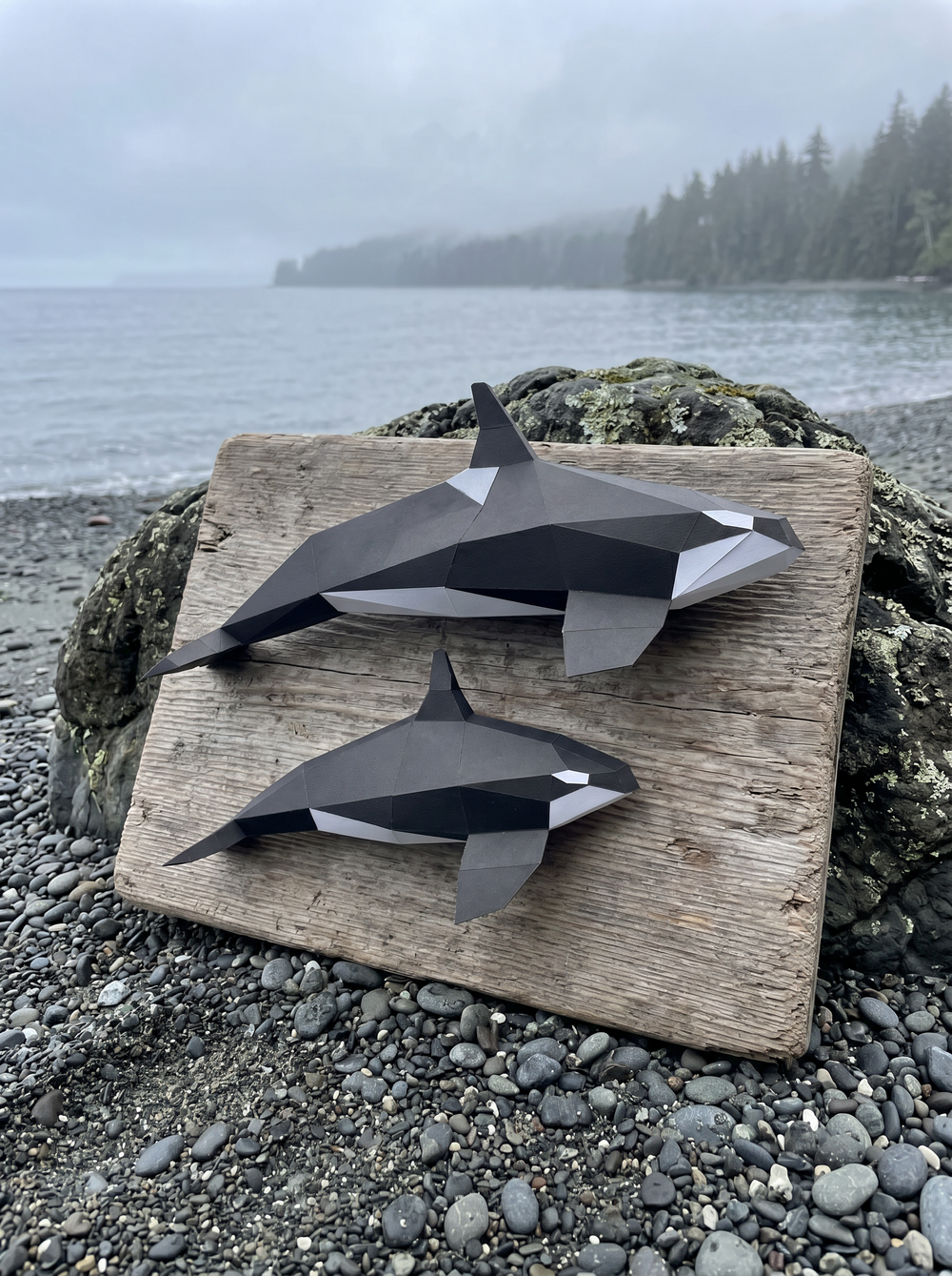 Orca Family - 3D Low Poly Papercraft Kit | Poly Paper Craft – POLY ...