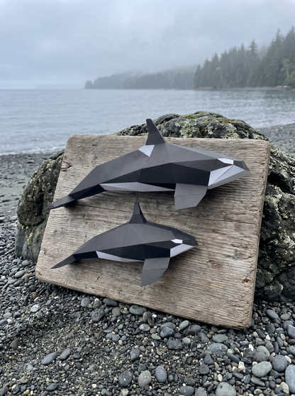 Orca Family