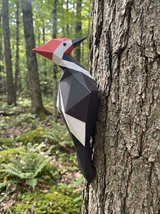 Woodpecker