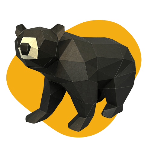 Black Bear