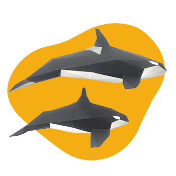 Orca Family