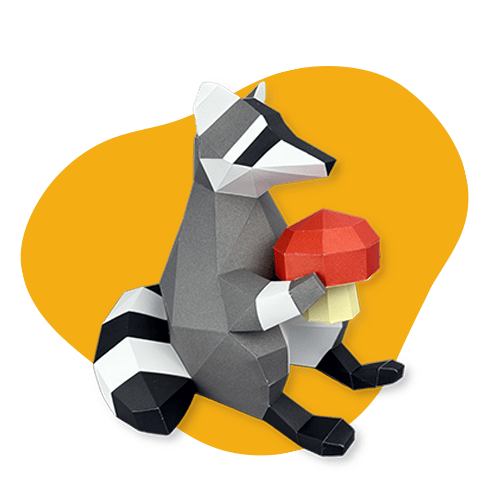 Raccoon