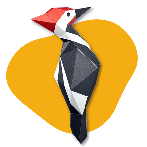 Woodpecker
