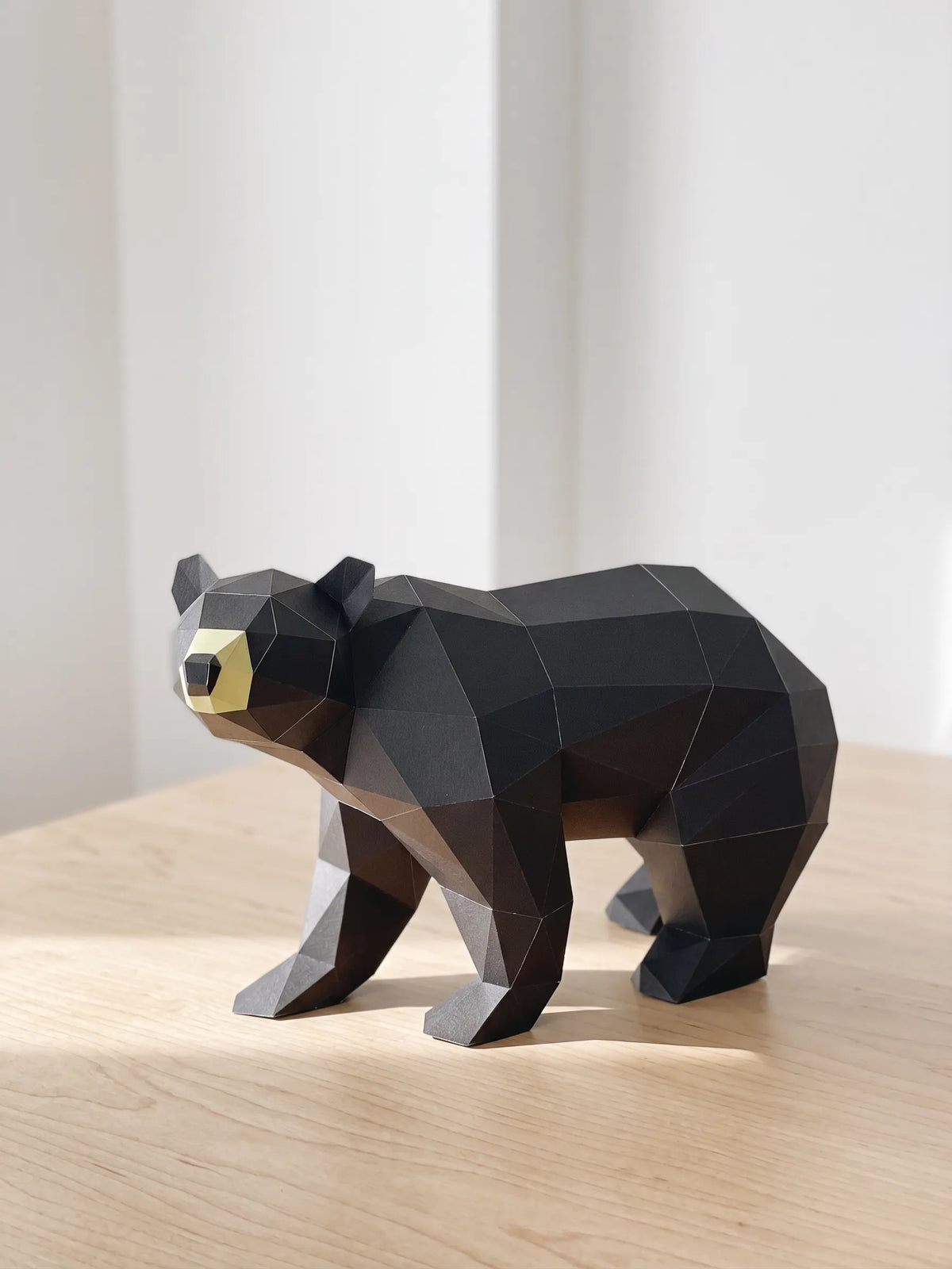 Black Bear