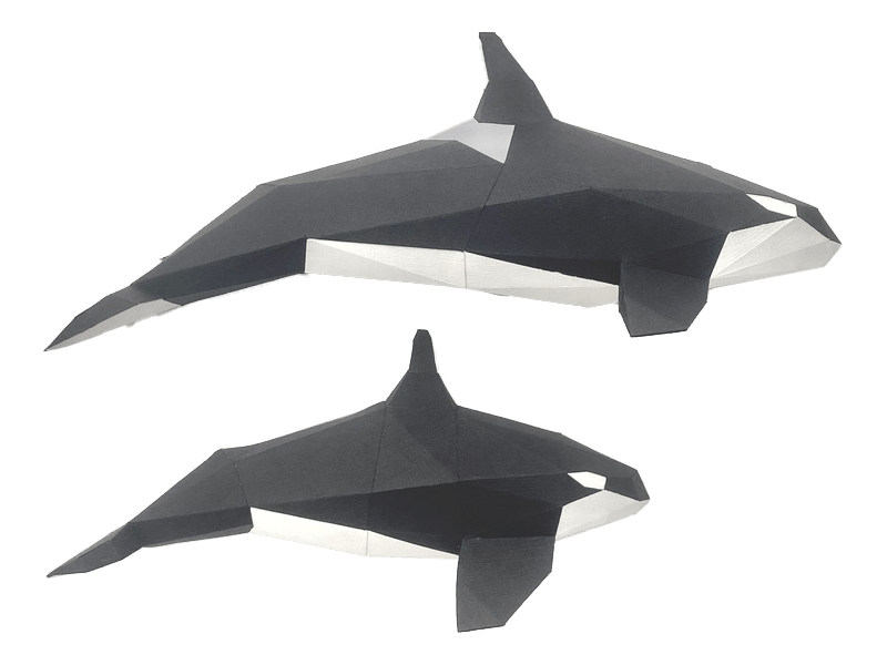 Orca Family - papercraft kit low-poly style