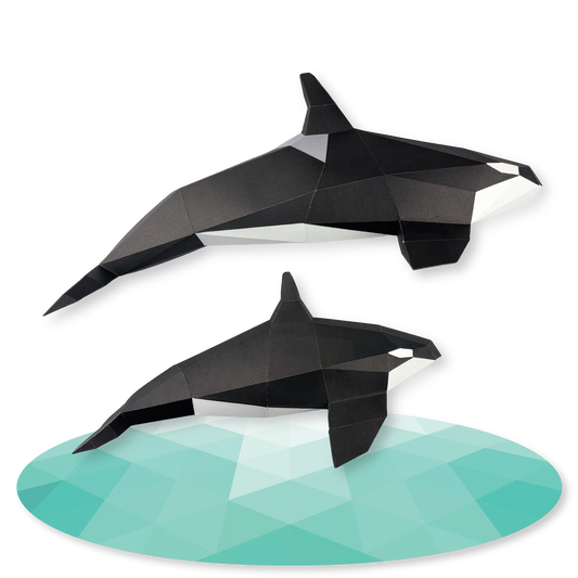 Orca Family
