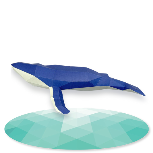 Humpback Whale