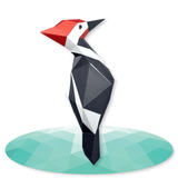 Woodpecker