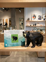 Black Bear