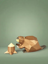 Castor