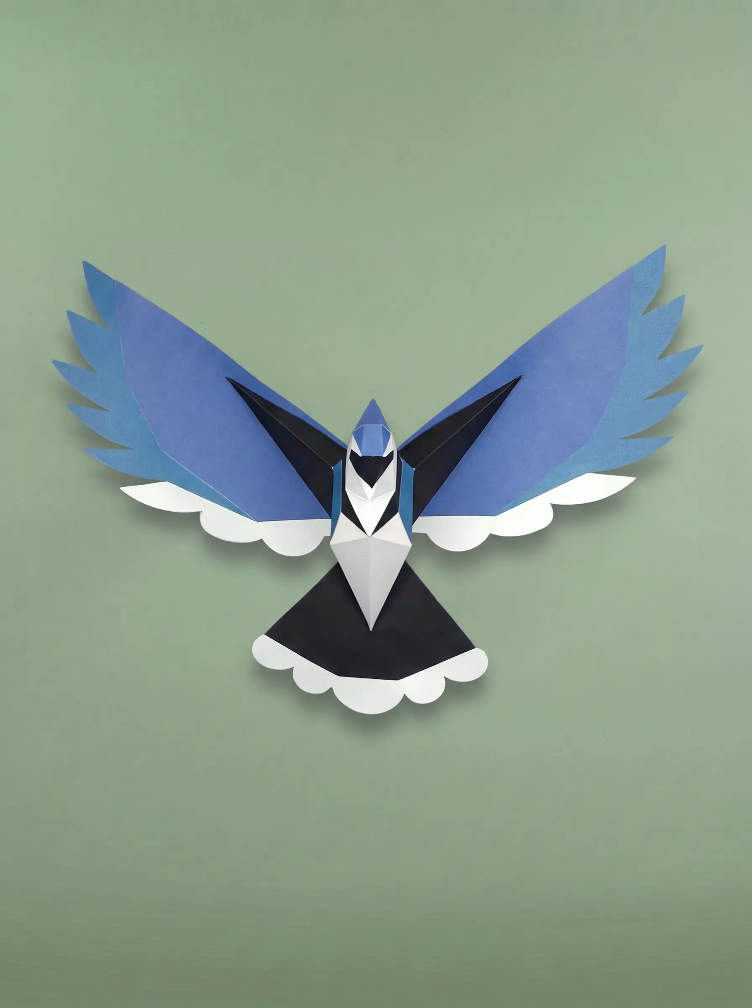 Blue Jay