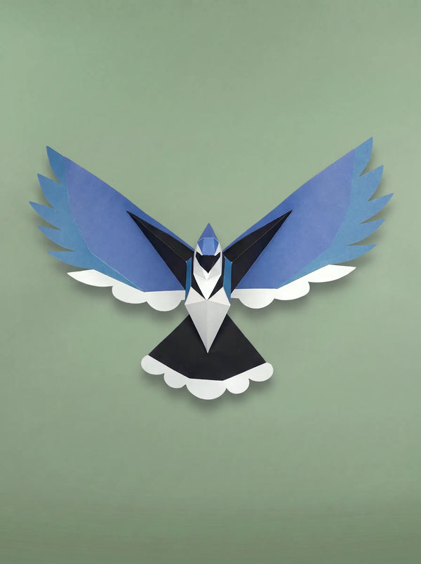 Blue Jay