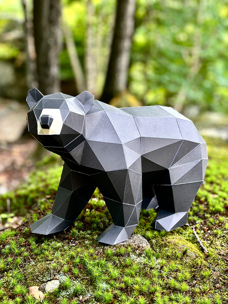 Ours noir