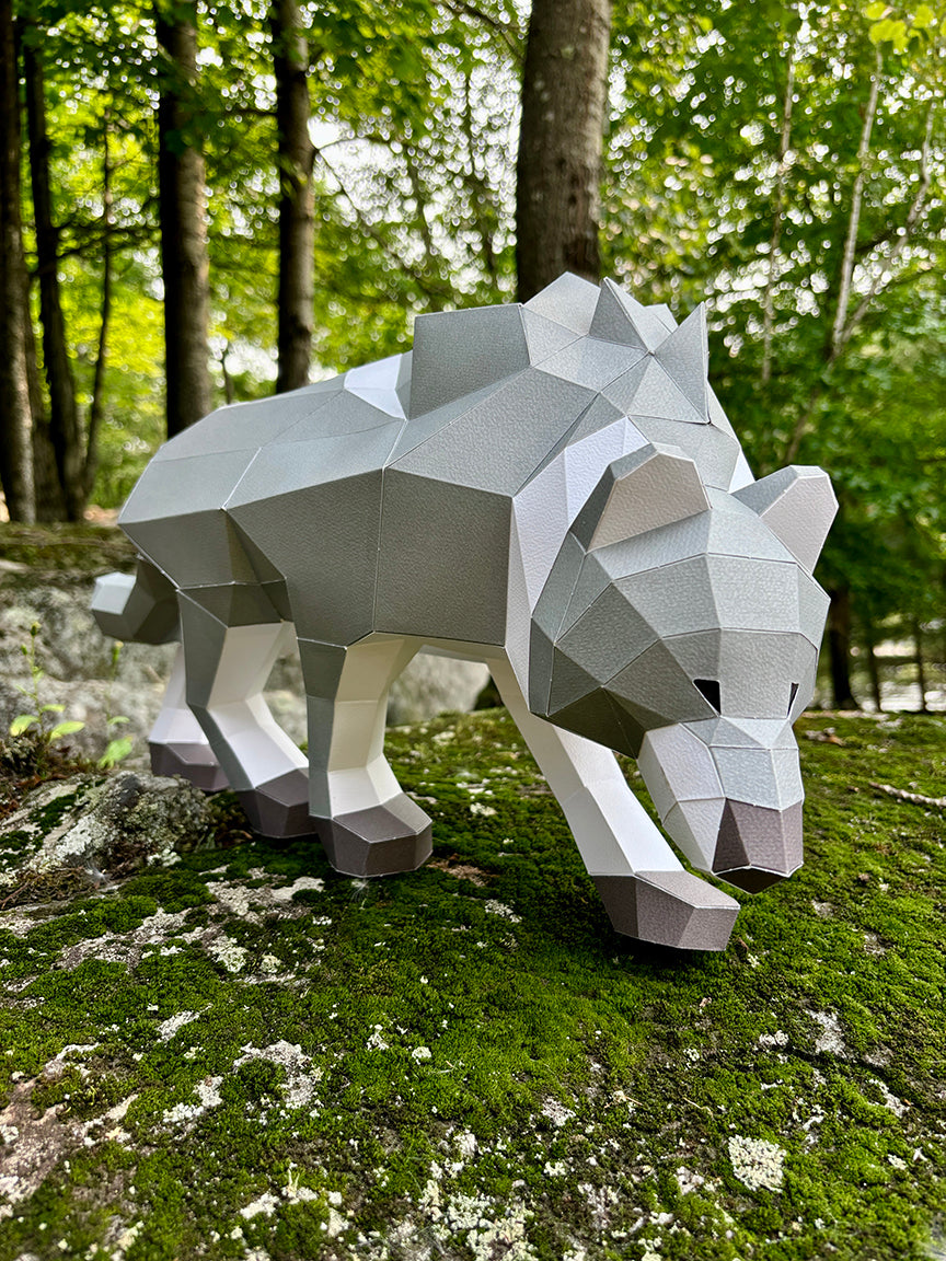Loup Chasseur