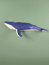 Baleine à bosse