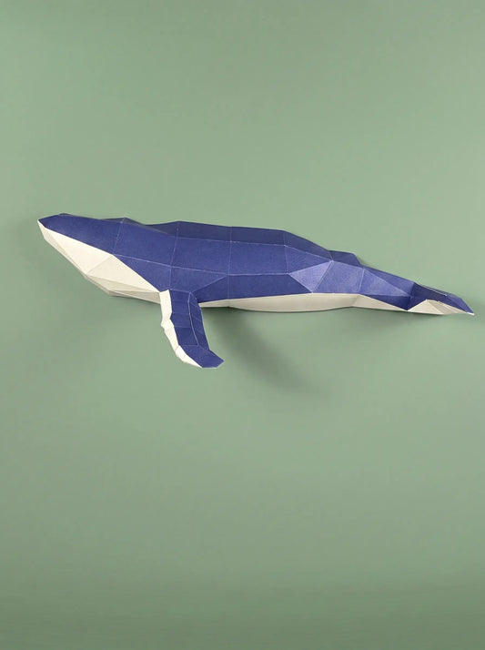 Baleine à bosse