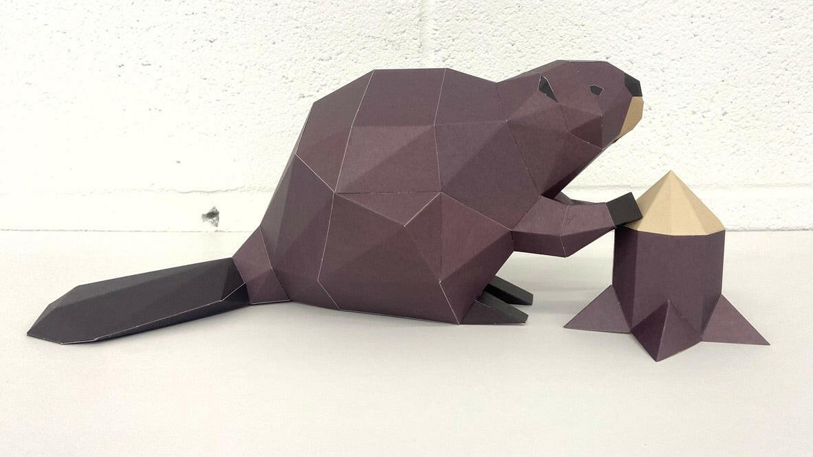 Beaver - papercraft kit low-poly style