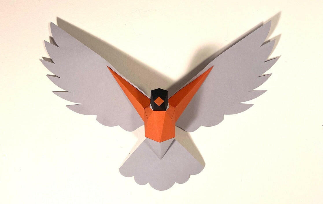 Robin - papercraft kit low-poly style