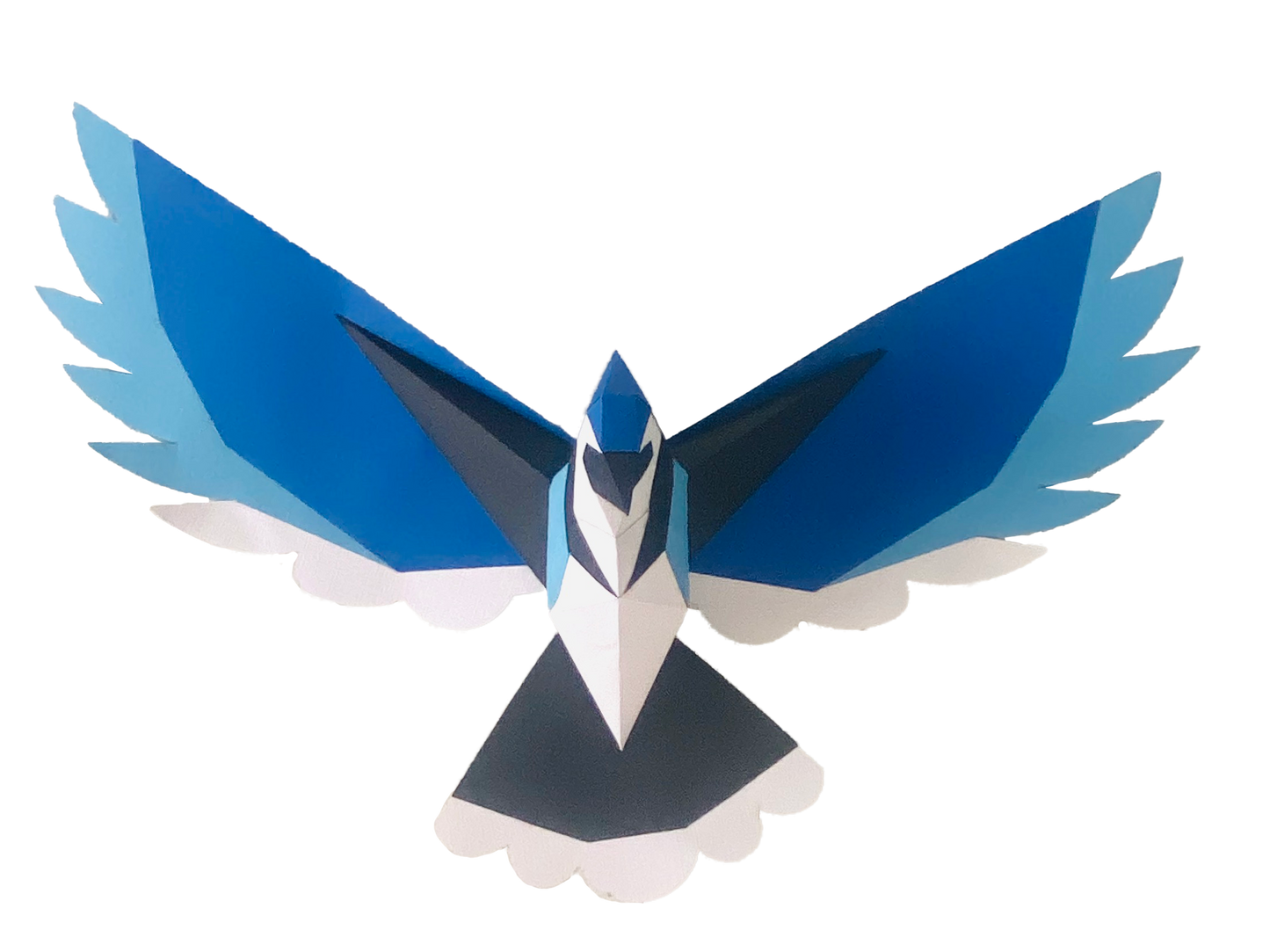 Blue Jay POLY PAPER CRAFT